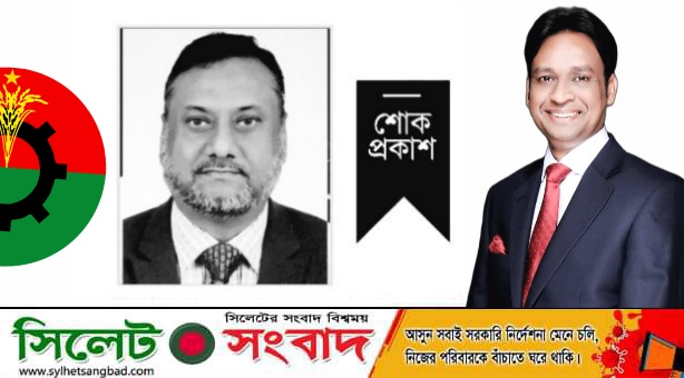 আহমেদ আরেফের মৃত্যুতে বিএনপি নেতা ব্যারিস্টার সালামের শোক