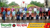 রোজিনা ইসলামকে হেনস্তা : সিলেটে সাংবাদিকদের অবস্থান কর্মসূচি