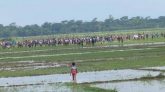 ফাঁকা গুলি ছেড়ে গোয়াইনঘাটে দুই গ্রামবাসীর সংঘর্ষ থামাল পুলিশ