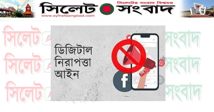 ফেসুবকে অপপ্রচার ও মানহানিকর পোস্ট : সিলেটে ছাত্রদল নেতার বিরুদ্ধে ডিজিটাল নিরাপত্তা আইনে মামলা