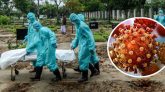 দেশে করোনায় আরো ৬৫ জনের মৃত্যু