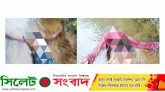 কানাইঘাট সীমান্তে পড়ে আছে দুই বাংলাদেশির লাশ