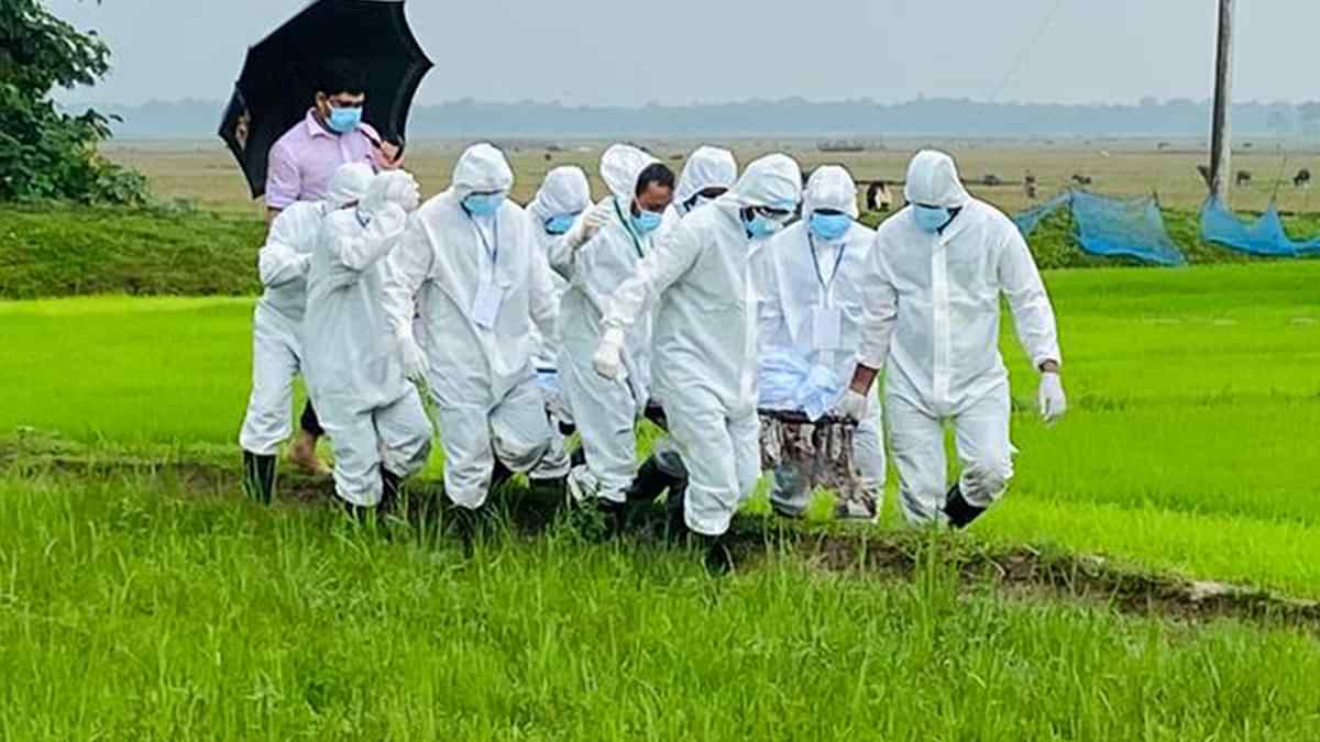 দেশে করোনায় মৃত্যু ২ জনের, বেড়েছে শনাক্ত