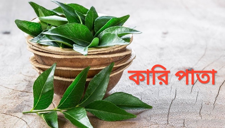 কারি পাতায় ১০ রোগের সমাধান