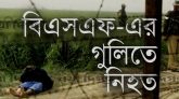 কুষ্টিয়া সীমান্তে বিএসএফের গুলিতে বাংলাদেশী নিহত