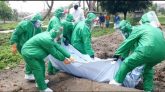 করোনায় আরও ৮ মৃত্যু : শনাক্ত ৭৯৯