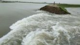 শাল্লায় হাওরের বাঁধ ভেঙে ঢুকছে পানি