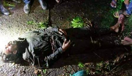 মধ্য রাতে ঝড়ে সিলেটে গাছ পড়ে পথচারীর মৃত্যু