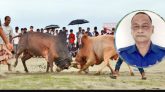 বিশ্বনাথে ষাঁড়ের লড়াই বন্ধ করলেন ওসি গাজী আতাউর