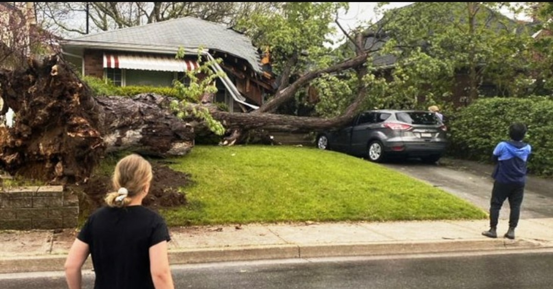 কানাডায় ভয়াবহ ঝড়ে নিহত ৪, বিদ্যুৎহীন ৯ লাখ বাড়ি