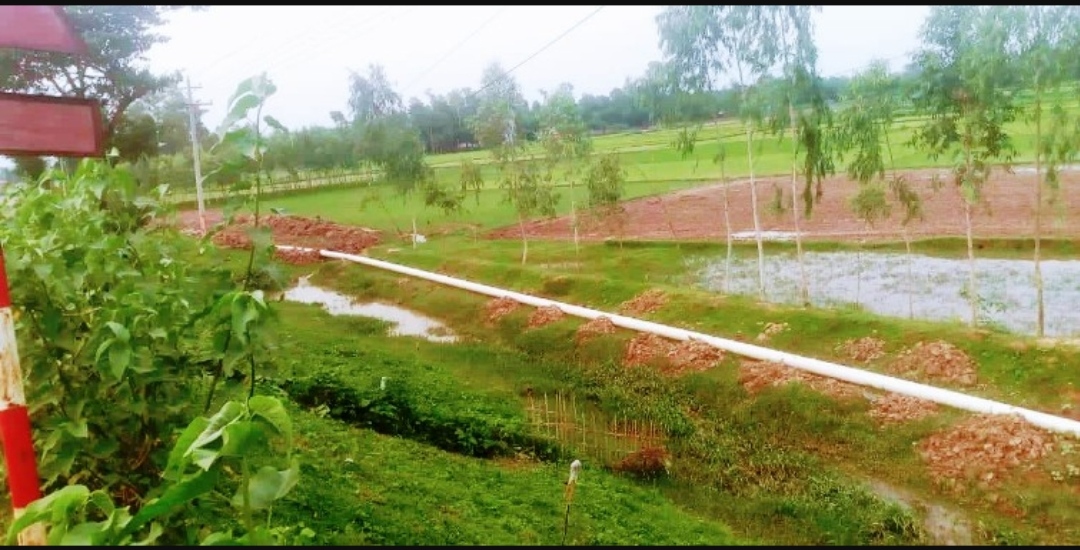 বাহুবলে কনিকা গ্রুপের অবৈধ গ্যাস লাইন স্হাপনে বাধা
