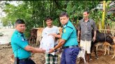 সিলেটে ১০০ খামারীকে পশুর খাবার দিল পুলিশ