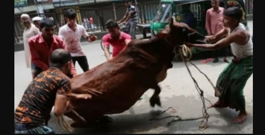 ইদের দ্বিতীয় দিনেও চলছে পশু কুরবানি