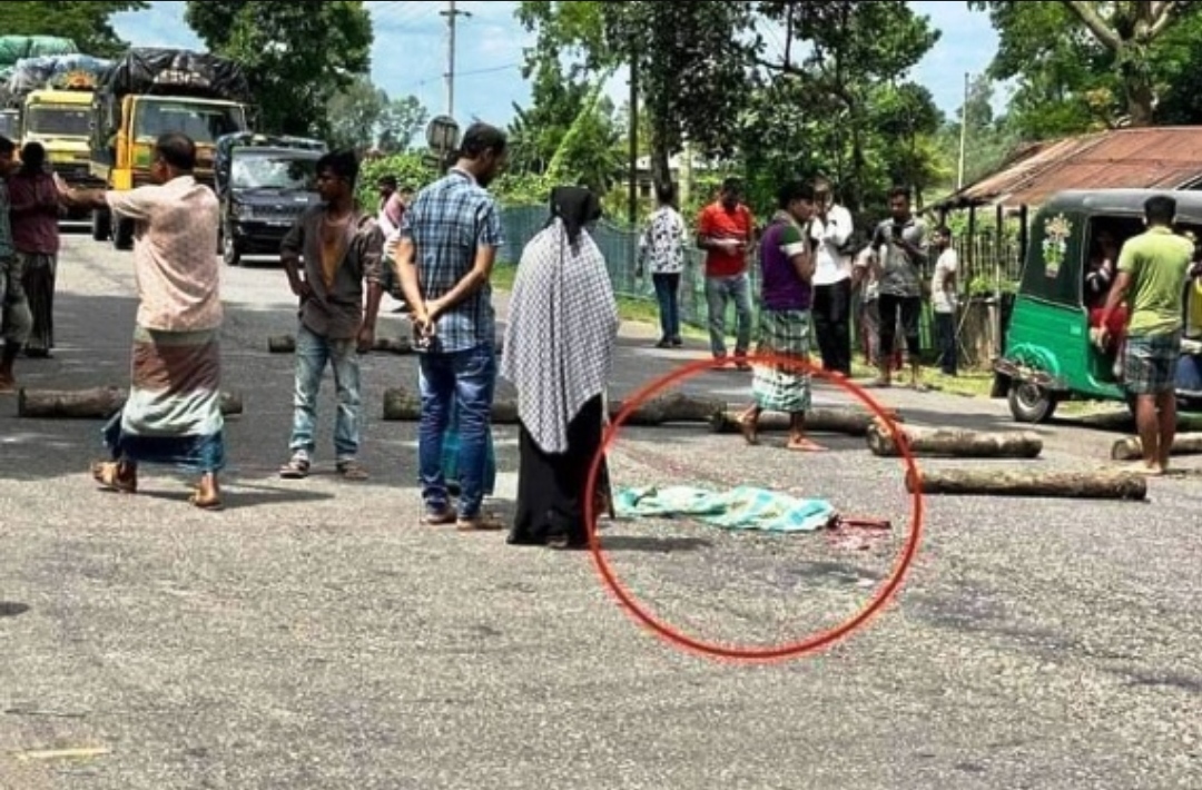 নবীগঞ্জে পিকআপ ভ্যানের চাপায় বাবা-ছেলের মৃত্যু
