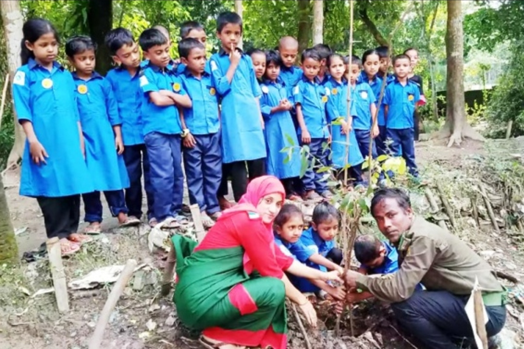 সিলেটে আনসার ভিডিপির বৃক্ষরোপন কর্মসূচী