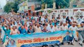 দেশের সংকট নিরসনে আ,লীগ সরকারের পদত্যাগের বিকল্প নেই : মুক্তাদির