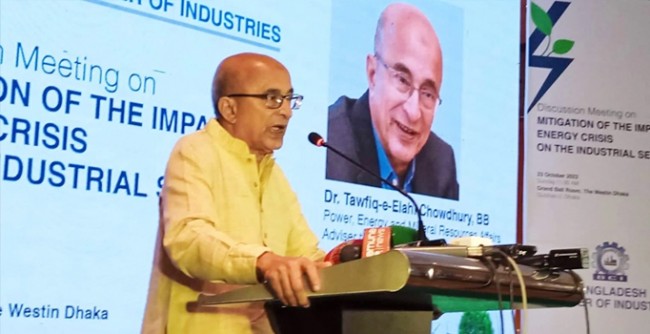 প্রয়োজনে দিনের বেলা বিদ্যুৎ ব্যবহার বন্ধ করে দিতে হবে : তৌফিক-ই-ইলাহী