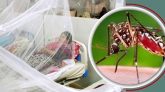 ২৪ ঘণ্টায় ৬৩৫ ডেঙ্গু রোগী শনাক্ত, মৃত্যু ১