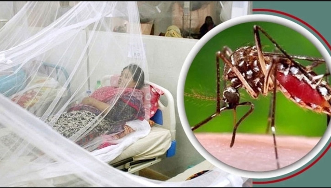 ২৪ ঘণ্টায় ৬৩৫ ডেঙ্গু রোগী শনাক্ত, মৃত্যু ১