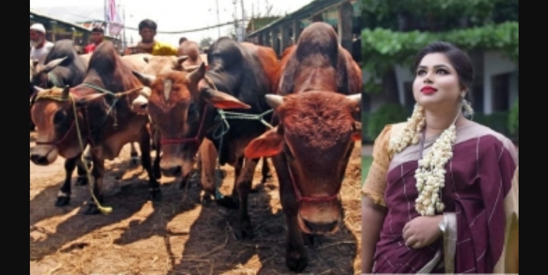 চোরাইকৃত গরু হেফাজতে নিয়ে বিক্রি করতেন ছাত্রলীগ নেত্রী