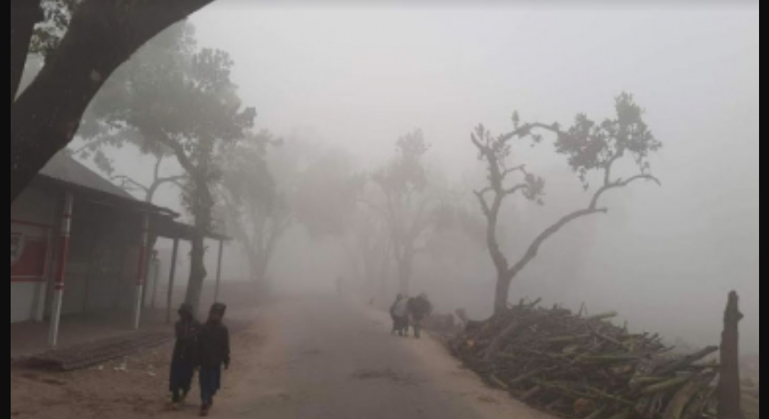 শীতে কাঁপছে শ্রীমঙ্গল, তাপমাত্রা ৫.৬ ডিগ্রি