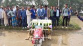 দক্ষিণ সুরমায় কৃষি প্রণোদনার বোরো হাইব্রিড ধান চাষাবাদের উদ্বোধন