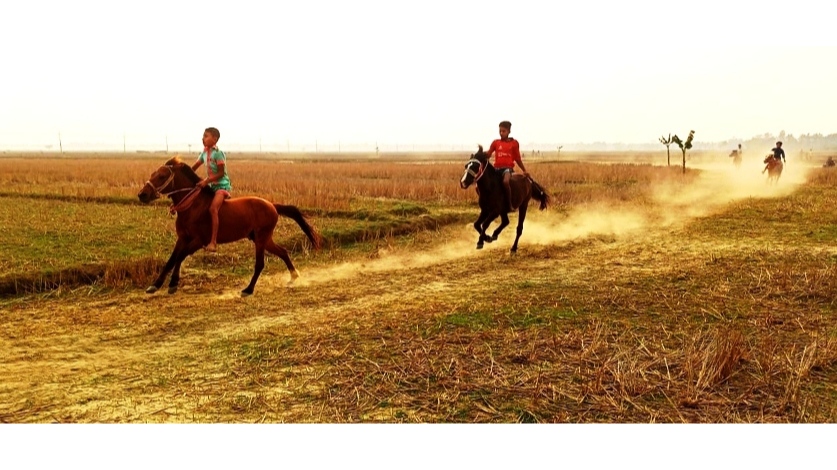 জৈন্তাপুরে দিনব্যাপী ঐতিহ্যবাহী ঘৌড়দৌড় প্রতিযোগিতা অনুষ্ঠিত