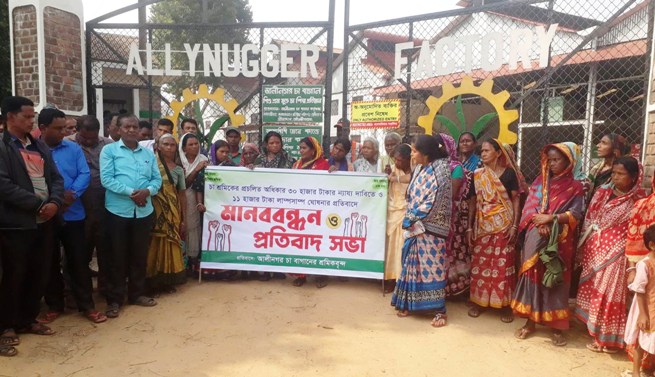 কমলগঞ্জে বকেয়া মজুরি প্রদানের দাবিতে ৩টি চা বাগানে শ্রমিকদের বিক্ষোভ