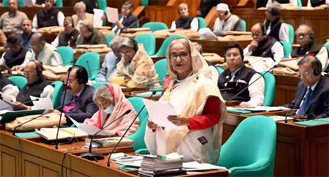 ব্যাপক উন্নয়নের পেছনে সংসদীয় গণতন্ত্রের স্থিতিশীলতা : প্রধানমন্ত্রী