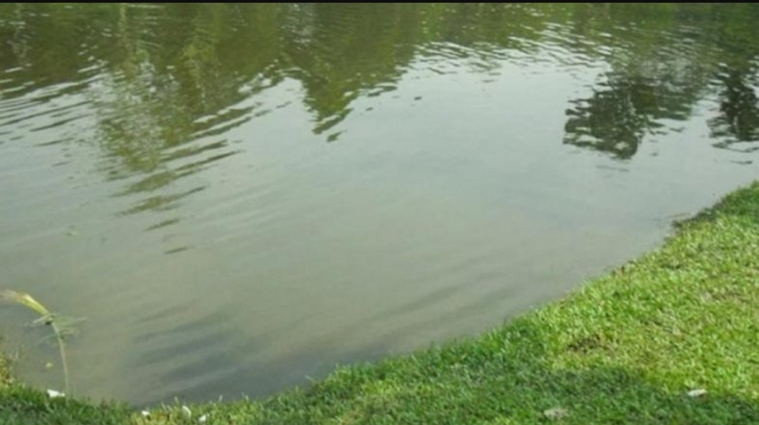 হবিগঞ্জে পানিতে ডুবে ভাই-বোনের মৃত্যু