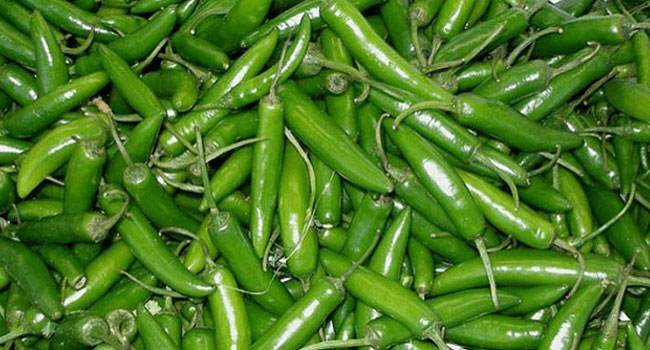 কাঁচামরিচ ৬০০ টাকা!
