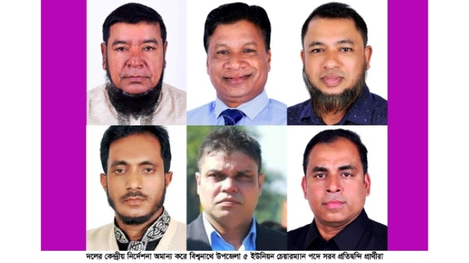 বিশ্বনাথে নির্বাচনী মাঠে সরব বিএনপি নেতাকর্মীরা