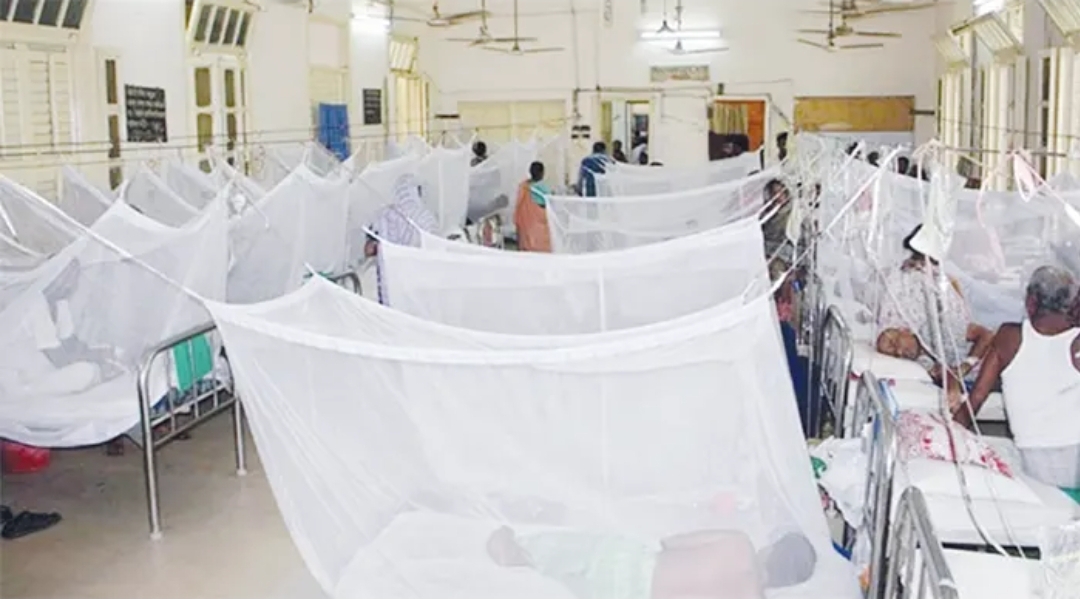 সিলেটে বাড়ছে ডেঙ্গু রোগী, হাসপাতালে ভর্তি ১৯ জন