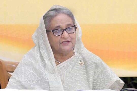 ব্রিকসকে হতে হবে বহুমুখী বিশ্বের বাতিঘর : প্রধানমন্ত্রী