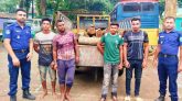 বিশ্বনাথে চোরাই কাঠ ও পিকআপসহ ৪ চোর আটক
