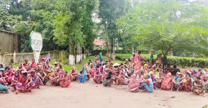 চাতলাপুর চা বাগানে শ্রমিকদের কর্মবিরতি ও বিক্ষোভ