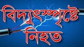 শ্রীমঙ্গলে বিদ্যুৎস্পৃষ্টে কলেজছাত্রীর মৃত্যু
