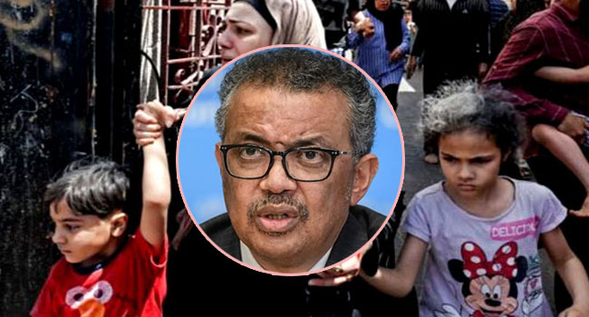 গাজায় প্রতি ১০ মিনিটে মারা যাচ্ছে একটি শিশু : ডব্লিউএইচও