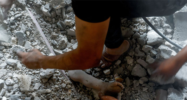 গাজায় লাশ খাচ্ছে বেওয়ারিশ কুকুর