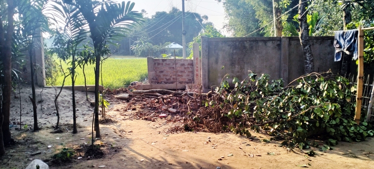 কুলাউড়ায় জোরপূর্বক দেয়াল ভেঙ্গে গাছ কেটে ফেলার অভিযোগ