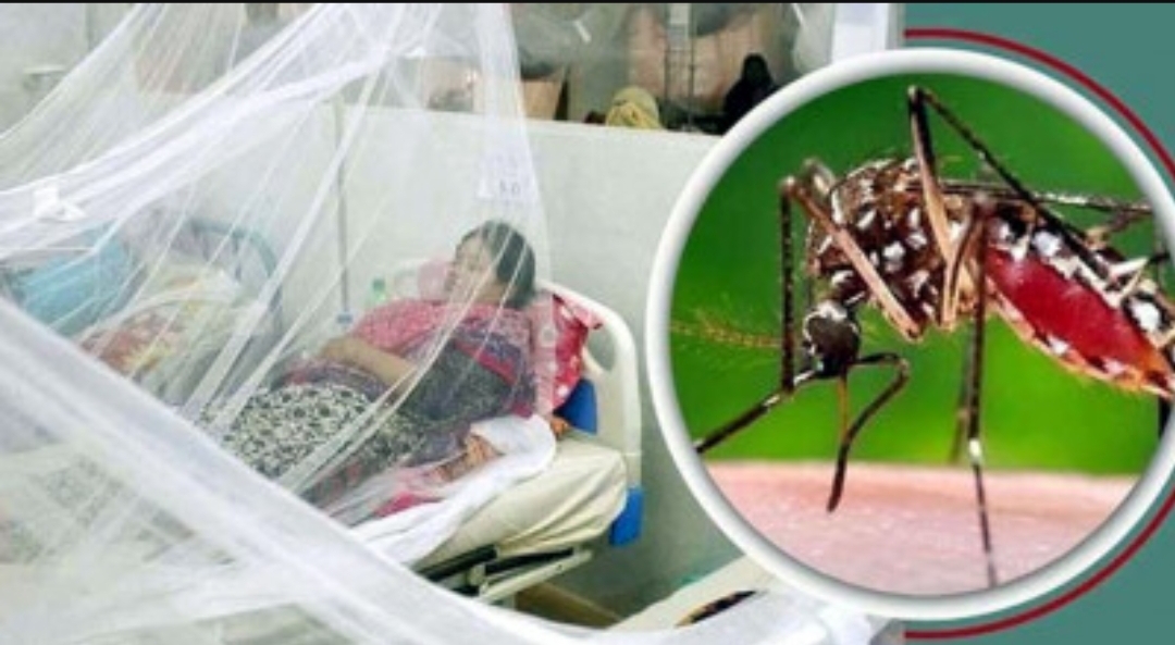 ডেঙ্গুতে আরো ১১ জনের মৃত্যু, নতুন শনাক্ত ১৩৩৩