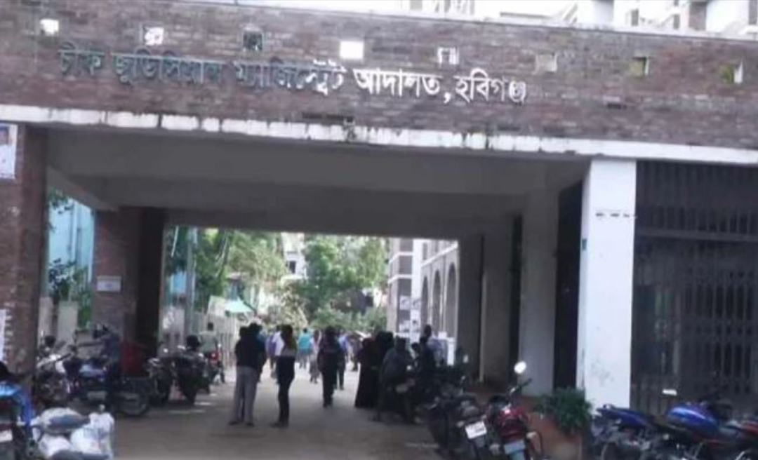 হবিগঞ্জে মা-মেয়েকে ধর্ষণের ঘটনায় ২ যুবকের যাবজ্জীবন