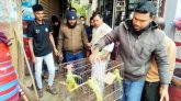 খাঁচায় বন্দি ৩টি টিয়া পাখি উড়ে গেলো আপন নীড়ে
