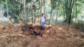 কমলগঞ্জে কৃষকের খড়ের গাদায় আগুন, ৩০ হাজার টাকার ক্ষতি