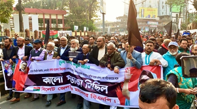 এই সরকারকে বিদায় করেই আমরা ঘরে ফিরব : আব্দুল আউয়াল মিন্টু