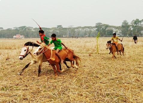 বিশ্বনাথে চিরায়ত বাংলার ঘোড়ার দৌড় প্রতিযোগিতা অনুষ্ঠিত