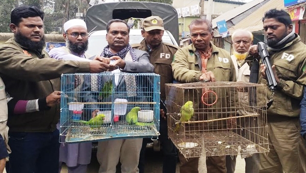 মাধবপুরে খাঁচাবন্দি ডাহুক-ময়না-টিয়া উদ্ধার