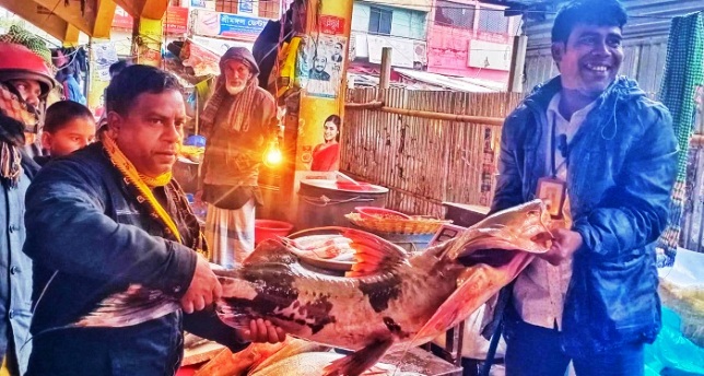 শ্রীমঙ্গলে মাছের মেলায় লাখ টাকার বাঘাইড়!