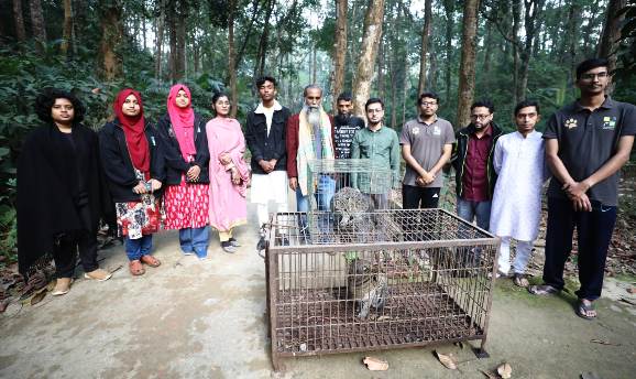 বিয়ানীবাজারে আটক মেছোবাঘ সিলেট ইকোপার্কে অবমুক্ত