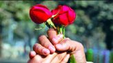 আজ বিশ্ব ভালোবাসা দিবস